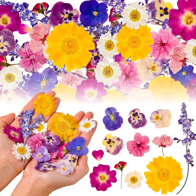 70-Piece Edible Pressed Flowers, 11-Kind Cake Topper and Cocktail Mix | Food-grade Flowers, viola, rose, lavender, sakura, calendula and daisy for cocktails, desserts, garnishes and crafts. - Image 8