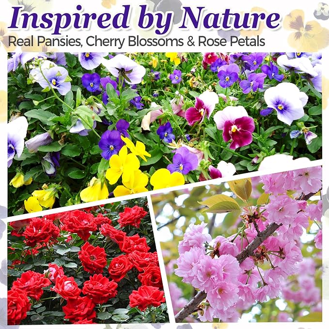 75 Pcs Edible Pressed Flowers for Cakes, Cocktails, Drinks & DIY Art Crafts | Natural Dried Edible Flowers for Drinks, DIY Crafts, Food Grade Mix of Pansies, Cherry Blossoms & Heart Rose Petals - Image 8