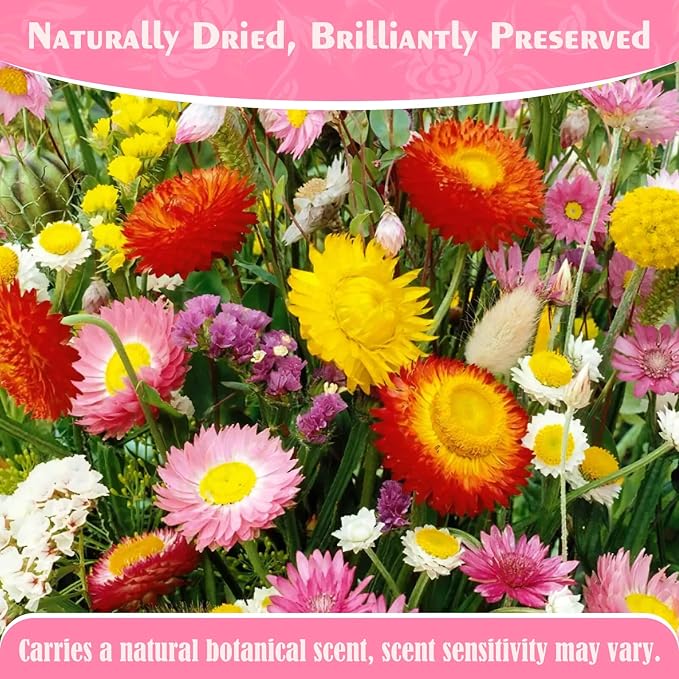 40-50 Pcs Edible Mixed Color Dried Flowers Food Grade Edible Flowers | 1.5 OZ Natural Dreid Flowers for Garnishing Cocktails, Cake Decorations, Drink Botanicals, Tea Infusions and DIY - Image 8