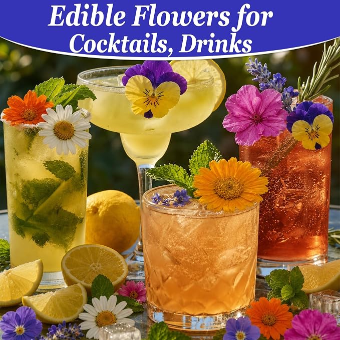 80Pcs Natural Dried Pressed Edible Flowers for Cocktails & Cake Decorating | 8 Kinds Food Grade Flowers· Perfect for Drinks, Cake Topper & Crafts· Wedding & Party· Vibrant Natural Colors - Image 6