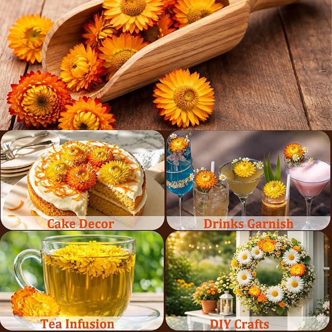 90+ Edible Dried Flowers for Cake Decorations, 100% Natural Dried Strawflowers Orange & Yellow for Cocktails Garnish, Drink Botanicals and Baking - Image 6