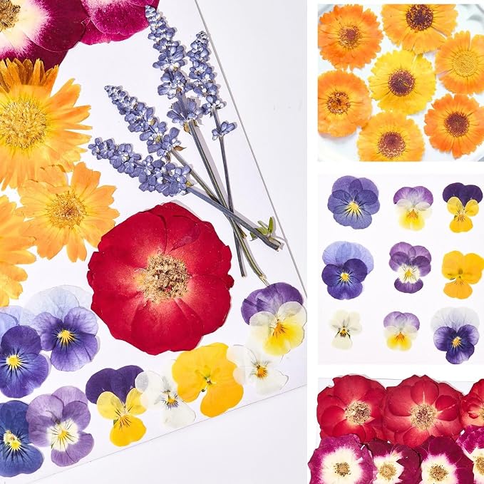 70 Pcs Edible Flowers for Cocktails & Cake Decorating – Real Dried Edible Flowers Cupcake Toppers, Food Grade Edible Pressed Flowers for Drinks, Garnish & Crafts (Pansies, Rose, Calendula, Lavender) - Image 8