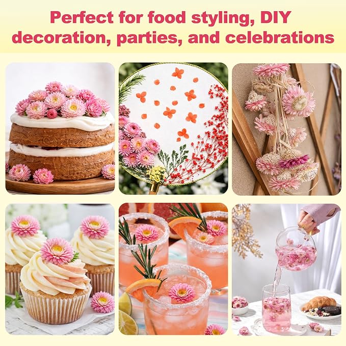 50+ Edible Dried Flowers for Cake Decorations - Food Grade Dried Pink Strawflower Blooms for Cocktail Garnish & Cupcakes, Drink Toppers, DIY Crafts - Image 6