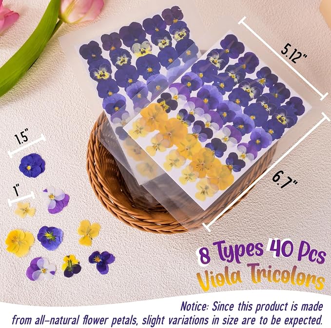 40 Pcs 8 Kinds Natural Dried Pressed Edible Flowers for Cake Topper | Mix Viola Tricolor for Cupcake Toppers Decorating, Cocktails, Resin Jewelry Making, DIY Art Crafts - Image 6
