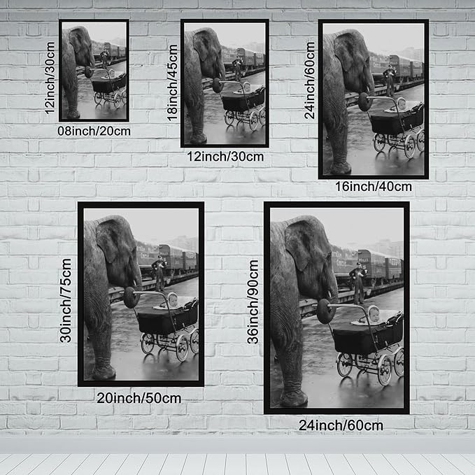 Elephant Pushing A Baby Carriage, London 1950, Black And White Vintage, Funny Animal Poster Canvas Poster Wall Art Decor Print Picture Paintings for Living Room Bedroom Decoration Black Frame 20x30in( - Image 2