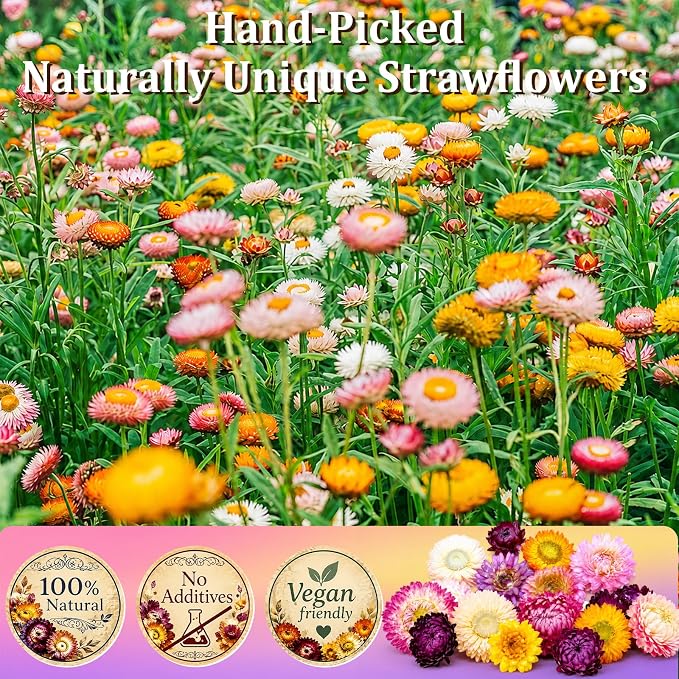 130+ Edible Dried Mixed Flowers for Cake Decorations - Food Grade Natural Color Strawflower, Dried Flower for Drink Toppers, Cocktail Garnish, Cupcakes & DIY Crafts - Image 4