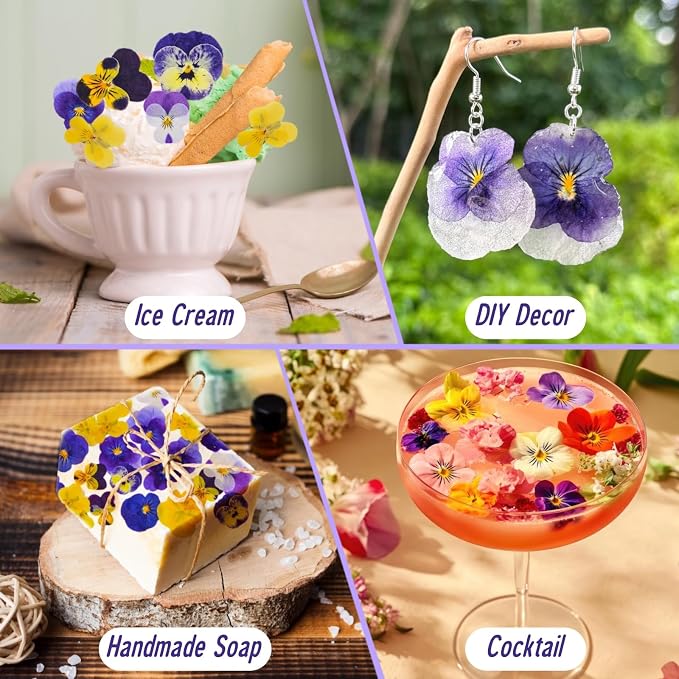 40 Pcs 8 Kinds Natural Dried Pressed Edible Flowers for Cake Topper | Mix Viola Tricolor for Cupcake Toppers Decorating, Cocktails, Resin Jewelry Making, DIY Art Crafts - Image 4