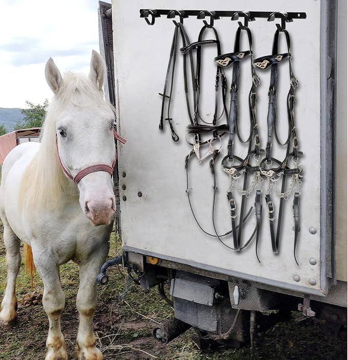 Zonon 4 Pcs Horse Tack Bridle Hooks Metal Horse Bridle Rack Stall Hanger for Tack Harness Storage Stall Fence Barn Supplies