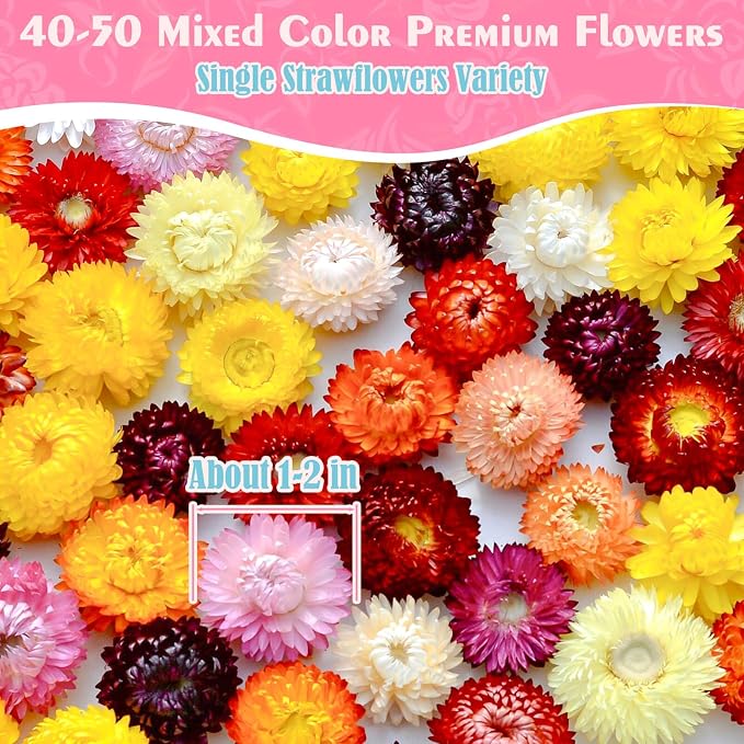40-50 Pcs Edible Mixed Color Dried Flowers Food Grade Edible Flowers | 1.5 OZ Natural Dreid Flowers for Garnishing Cocktails, Cake Decorations, Drink Botanicals, Tea Infusions and DIY - Image 2