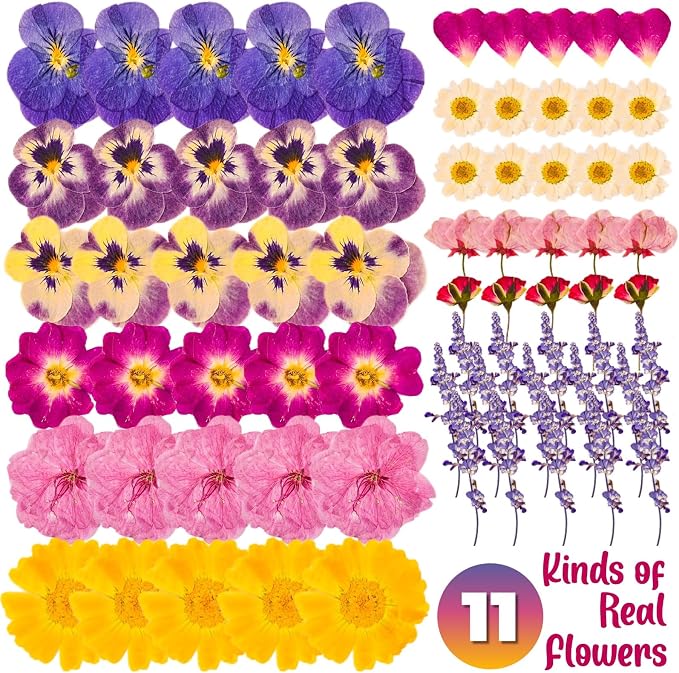 70-Piece Edible Pressed Flowers, 11-Kind Cake Topper and Cocktail Mix | Food-grade Flowers, viola, rose, lavender, sakura, calendula and daisy for cocktails, desserts, garnishes and crafts. - Image 3