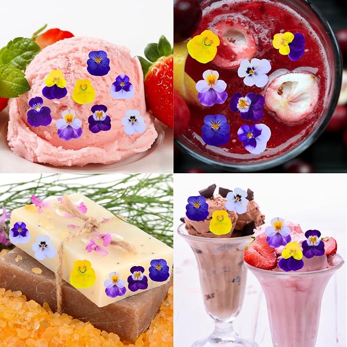 PureHabitat 60 Pcs 10 Colors Natural Dried Pressed Edible Viola Tricolor Flowers for Cake Topper Decoration – for Cupcake Toppers Cocktails Resin Jewelry DIY Crafts (Purple) - Image 6