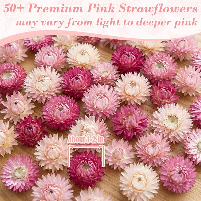 50+ Pcs Edible Pink Dried Flowers, Food Grade Helichrysum Strawflowers | Natural Edible Dried Flowers for Garnishing Cocktails, Cake Decorations, Drink Botanicals, Tea Infusions and DIY Crafts - Image 2