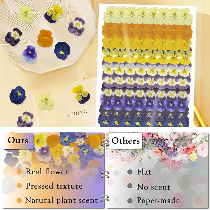 80 Pcs 10 Types Dried Edible Flowers Pressed for Cake Decorating | Natural Flower Mix for Cupcake Toppers Cocktail Garnish Dessert Decor Baking Supplies Resin Jewelry Making DIY Crafts - Image 4
