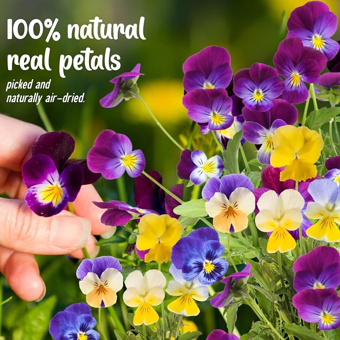 40 Pcs 8 Kinds Natural Dried Pressed Edible Flowers for Cake Topper | Mix Viola Tricolor for Cupcake Toppers Decorating, Cocktails, Resin Jewelry Making, DIY Art Crafts - Image 2