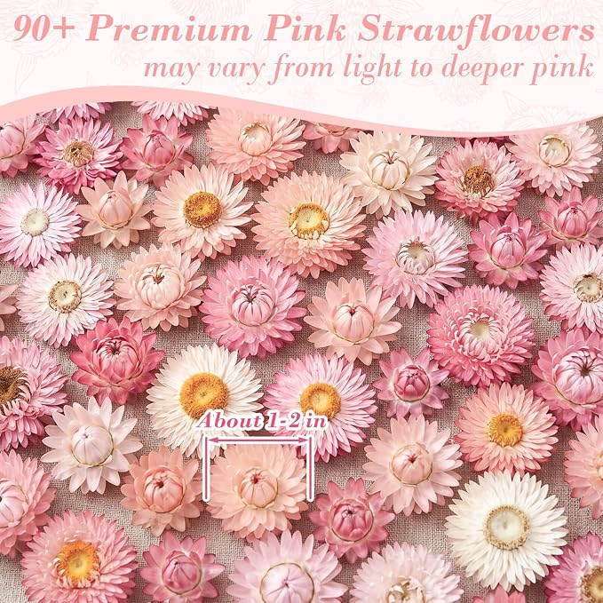 90-100 Pcs Edible Pink Dried Flowers, Food Grade Helichrysum Strawflowers | Natural Edible Dried Flowers for Garnishing Cocktails, Cake Decorations, Drink Botanicals, Tea Infusions and DIY Crafts - Image 2