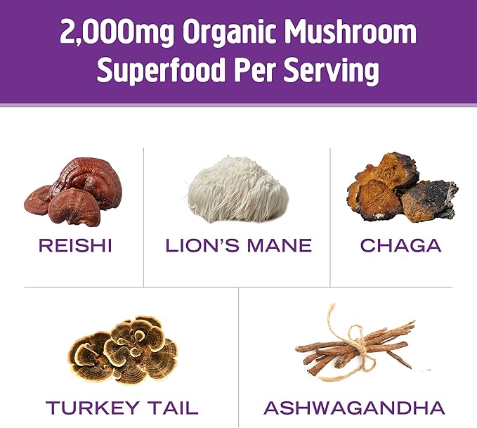 OM MUSHROOM SUPERFOOD Hot Chocolate Blend – Dutch Cocoa with Lion’s Mane, Reishi, Chaga & Turkey Tail – Supports Focus, Calm & Stress Relief – 2g Sugar, 25 Calories – 8.47 oz Canister (30 Servings)