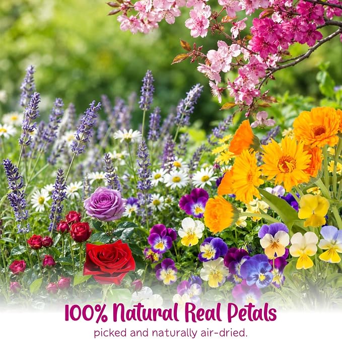 70-Piece Edible Pressed Flowers, 11-Kind Cake Topper and Cocktail Mix | Food-grade Flowers, viola, rose, lavender, sakura, calendula and daisy for cocktails, desserts, garnishes and crafts. - Image 7