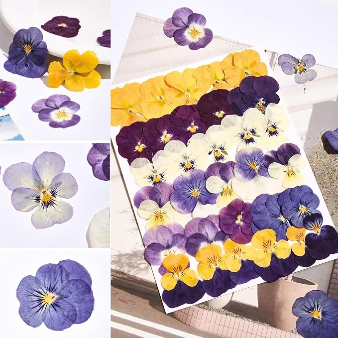 63 Pcs Edible Flowers Cake Decorations – Dried Edible Flowers for Cocktails, Drinks, Cupcake Topper & Cake Decorating, Food Grade Pressed Flowers Mix with Pansy, Heart Rose Petals & Orange - Image 7