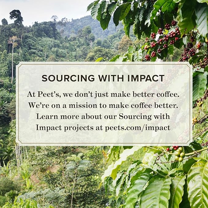 Peet's Coffee, USDA Organic Dark Roast Keurig K-Cup Pods - Alma de la Tierra 10 Count (1 Box of 10 Pods)