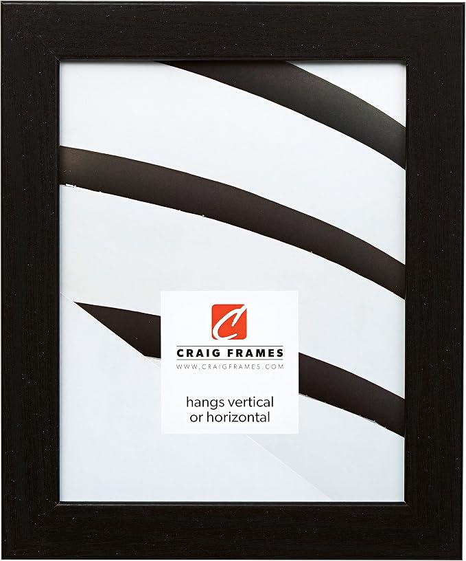 Craig Frames Bauhaus 125, 24x24 Picture Frame, Black Oak by CraigFrames