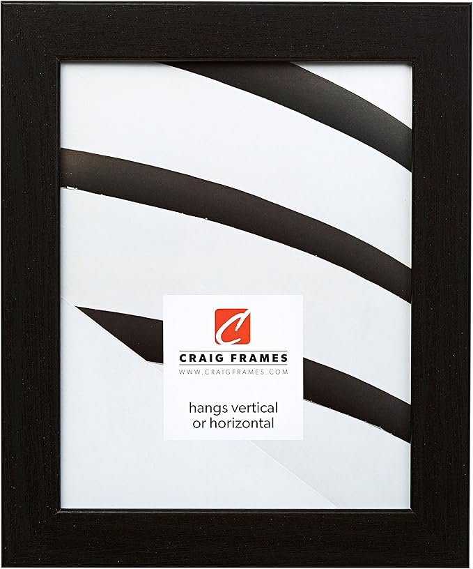 Craig Frames Bauhaus 125, 11x17 Picture Frame, Black Oak by CraigFrames