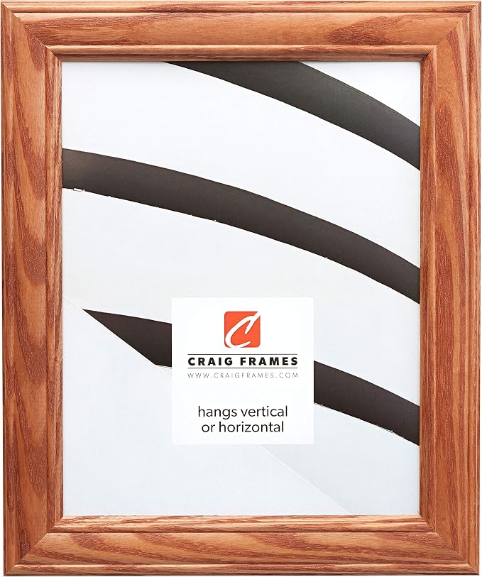 Craig Frames 24x24 Brown Picture Frame, Wood Wall Decor for Art and Photos | A lightweight, shatter resistant acrylic front, made in the USA for a gallery display by CraigFrames
