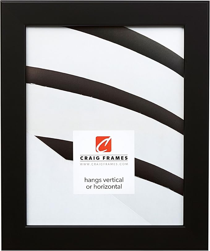 Craig Frames Bauhaus 125, 24x30 Picture Frame, Black Satin Mica by CraigFrames