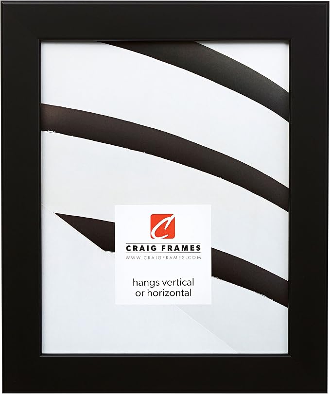 Craig Frames 26273 20 by 24-Inch Picture Frame, Smooth Wrap Finish, 1.26-Inch Wide, Black Satin by CraigFrames