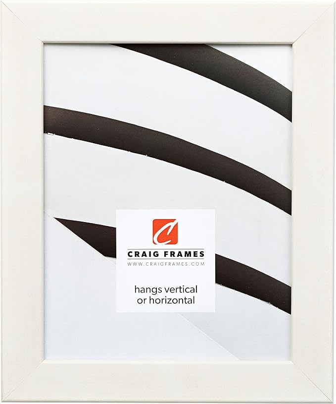 Craig Frames Colori 125, 8x12 Picture Frame, Blanco White by CraigFrames