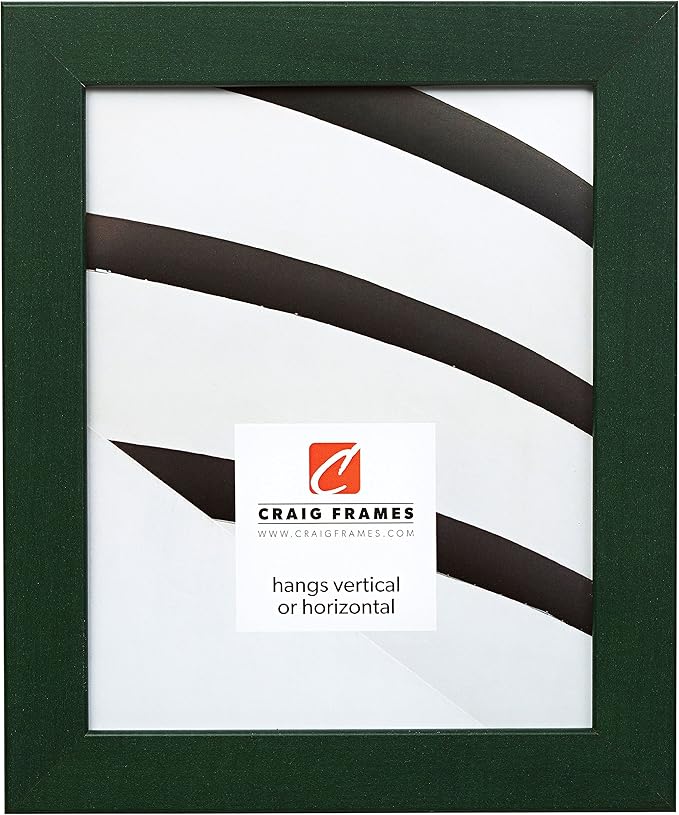 Craig Frames 26026 12 by 16-Inch Picture Frame, Smooth Wrap Finish, 1.26-Inch Wide, Green by CraigFrames