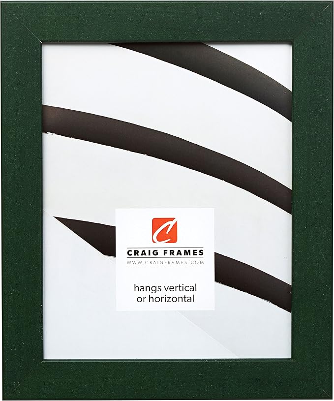 Craig Frames 26026 20 by 24-Inch Picture Frame, Smooth Wrap Finish, 1.26-Inch Wide, Green by CraigFrames