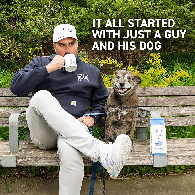 Stella Blue Cold Brew Coffee Bags, Big Cat Blend, Medium Roast Ground Coffee, Smooth, Bold and Refreshing 100% Arabica, 6 Brew Packets, Makes 24 Cups, Rainforest Alliance Certified