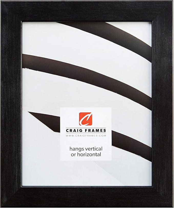 Craig Frames Bauhaus, Modern Black Pine Picture Frame, 19 by 25-Inch by CraigFrames