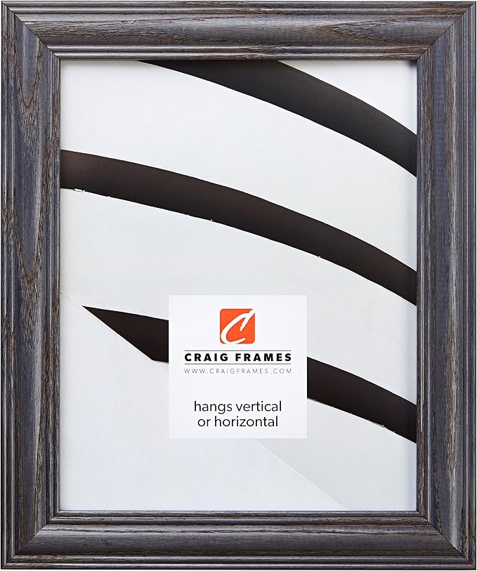Craig Frames 10x13 Blue Picture Frame, Wall Decor for Art and Photos | Ready to hang with a protective glass front, made in the USA for a gallery display by CraigFrames