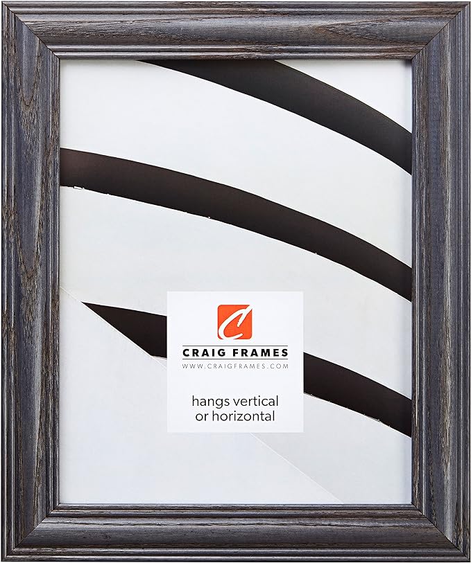 Craig Frames 12x16 Blue Picture Frame, Wall Decor for Art and Photos | Ready to hang with a protective glass front, made in the USA for a gallery display by CraigFrames