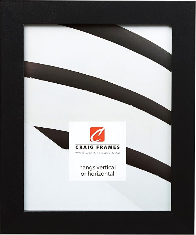 Craig Frames Bauhaus 125, 24x30 Picture Frame, Mystic Satin Black - Image 3
